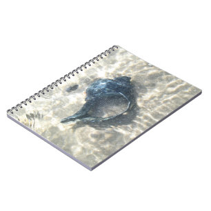 Black Seashell Notizblock