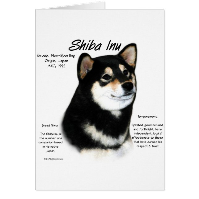 Black Shiba Inu History (Vorne)