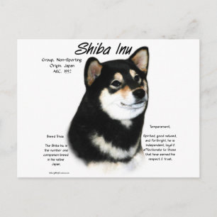 Black Shiba Inu History Postkarte