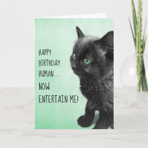 Black Smoke Kitten Karte