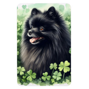Black Spitz St Patricks Day Flexibel Magnet