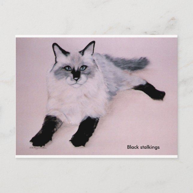 Black Stalkings ... Postkarte (Vorderseite)