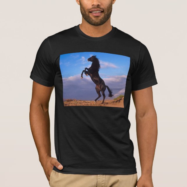 Black-Stallion-T - Shirt (Vorderseite)