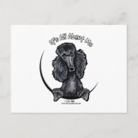 Black Standard Poodle IAAM