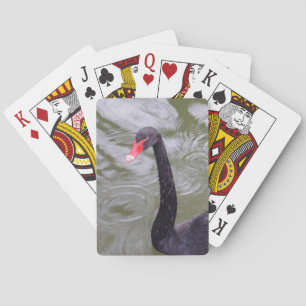 Black Swan Bicycle® Poker Spielkarten