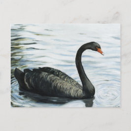"Black Swan" Bird Art Reproduction Postcard Postkarte