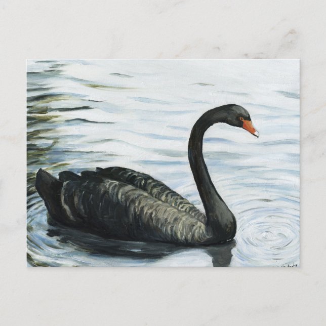 "Black Swan" Bird Art Reproduction Postcard Postkarte (Vorderseite)