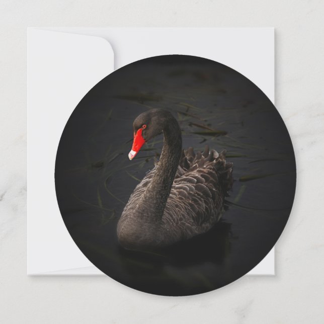 Black Swan Bridal Dusche Einladung (Rückseite)