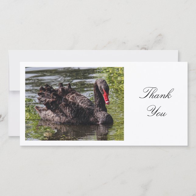 Black Swan - Danke (Vorderseite)