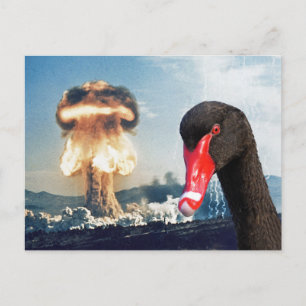 Black Swan Desaster Postkarte