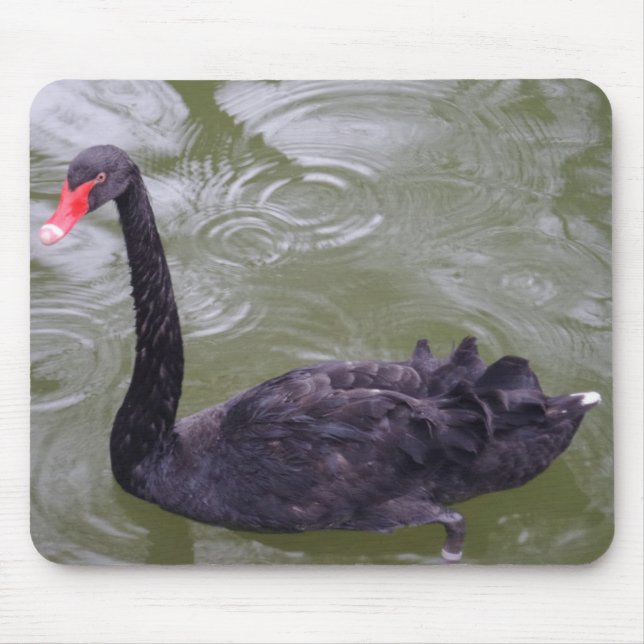 Black Swan Mousepad (Vorne)