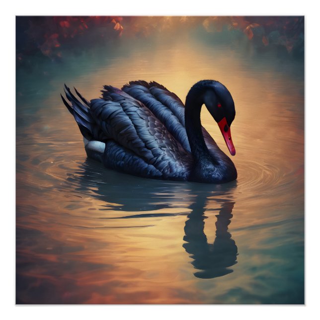Black Swan no 4 Glossy Poster (Vorderseite)