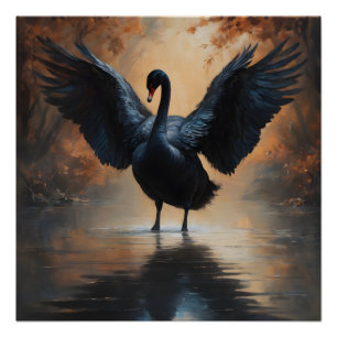 Black Swan no 6 Glossy Poster