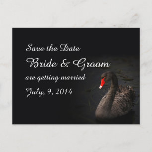 Black Swan Save-the-Date-Postkarte Ankündigungspostkarte
