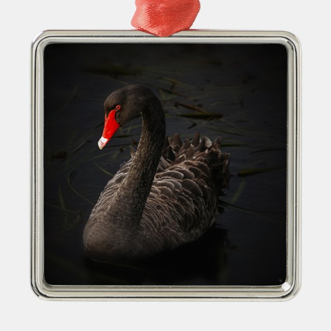 Black Swan Silbernes Ornament (Vorne)