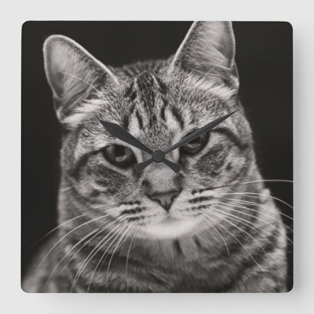 Black Tabby Kitten Quadratische Wanduhr (Vorderseite)