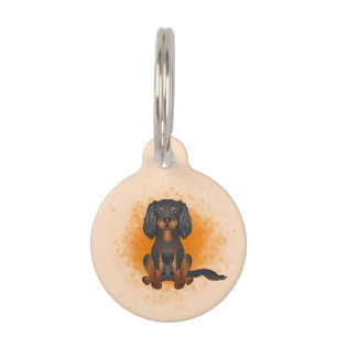 Black & Tan Cavalier King Charles Dog auf Orange Haustiermarke