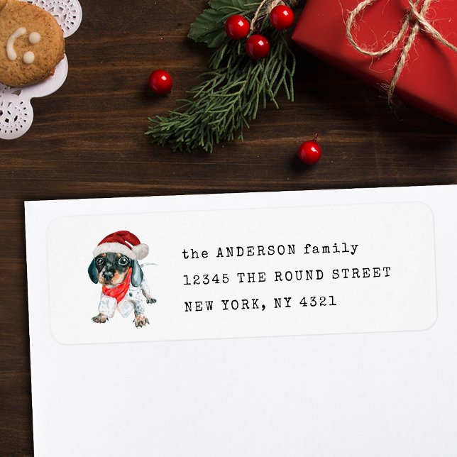 Black Tan Piebald Dackel Welpe Rücksendeadresse (Von Creator hochgeladen)