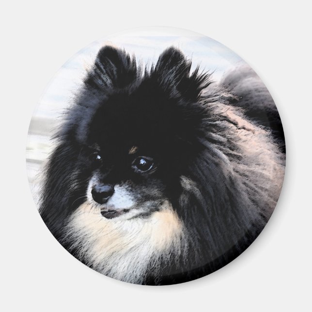 Black & Tan Spitz Magnet (Vorne)
