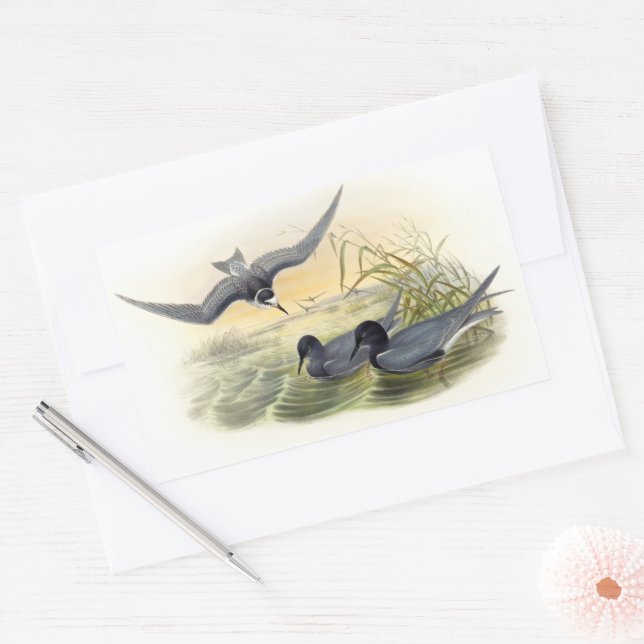 Black Tern Rechteckiger Aufkleber (Umschlag)