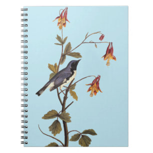 Black-Throated Blue Warbler Audubon Bird Lover Notizblock