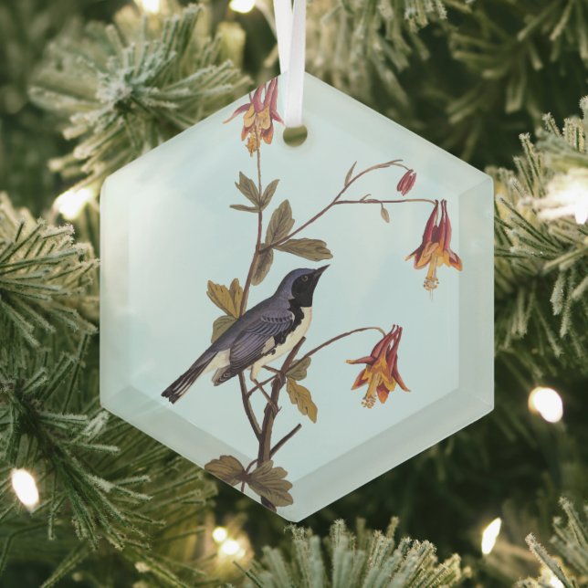 Black-Throated Blue Warbler Audubon Bird Lover Ornament Aus Glas (Insitu)