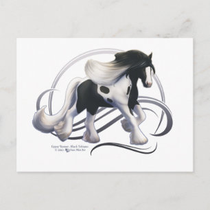 Black Tobiano Sinti und Roma Vanner Horse Postkarte