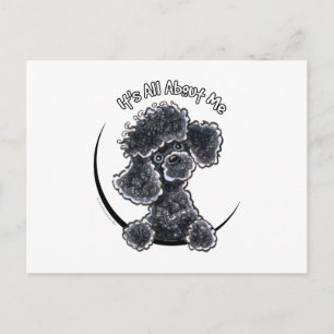 Black Toy Poodle IAAM Postkarte