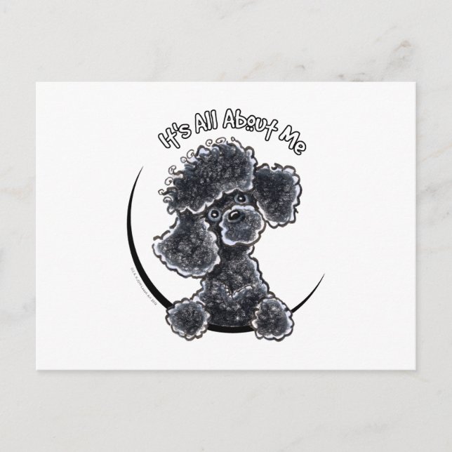 Black Toy Poodle IAAM Postkarte (Vorderseite)