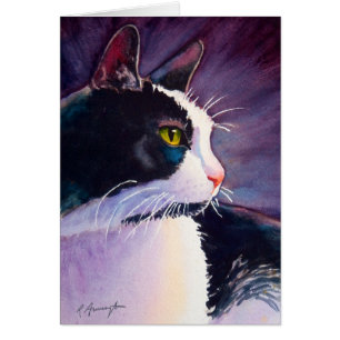 Black Tuxedo Cat in Stormy Mood