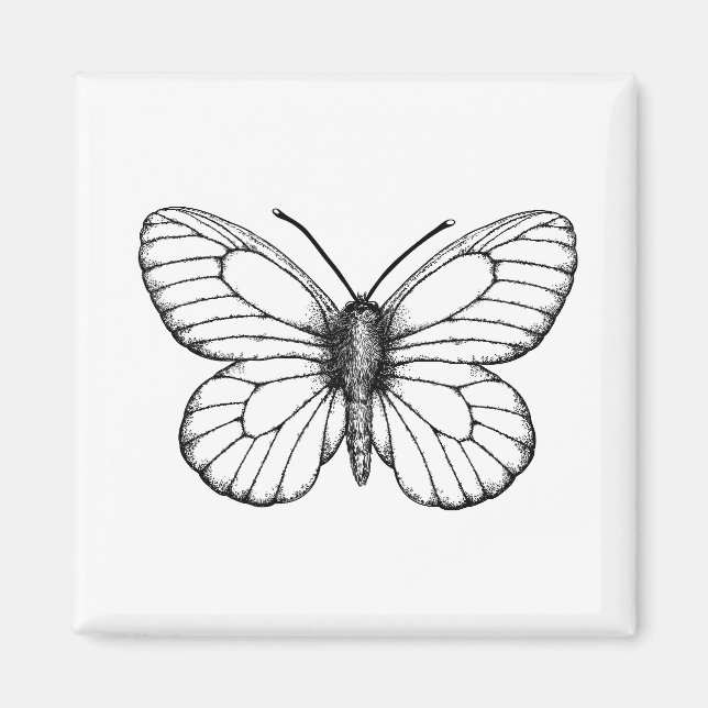 Black-veined white butterfly magnet (Vorne)