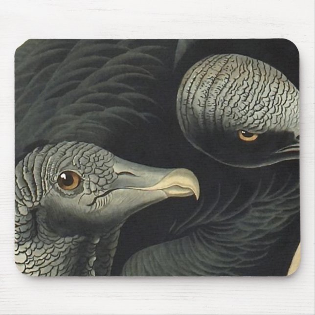 Black Vultures, John James Audubon Mousepad (Vorne)