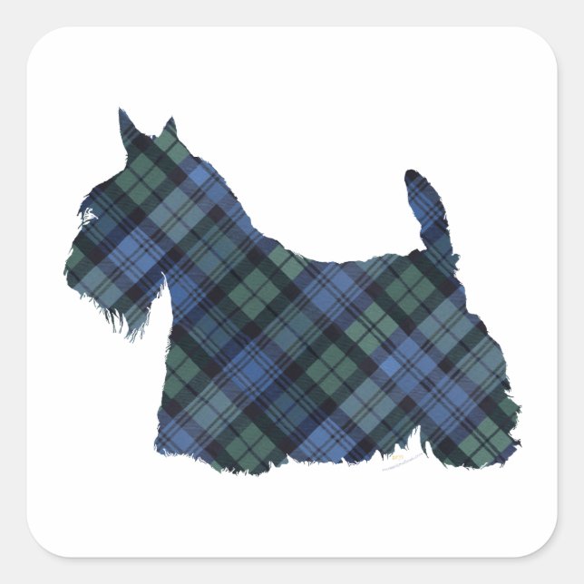 Black Watch Tartan Scottish Terrier Quadratischer Aufkleber (Vorderseite)