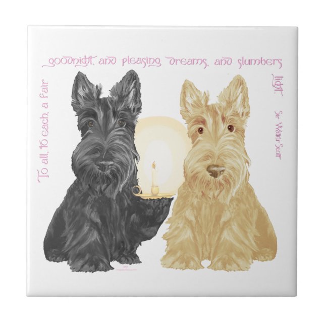 Black & Wheaten Goodnight Scott Fliese (Vorderseite)