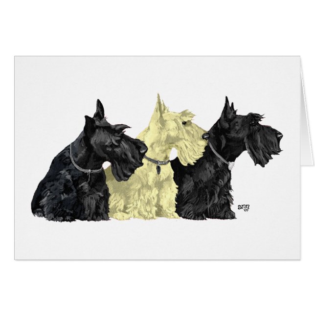 Black & Wheaten Scottish Terriers (Vorderseite (Horizontal))
