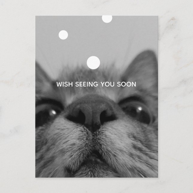 Black&White 17yro Kitty Blank Postcard Postkarte (Vorderseite)