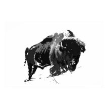Black & White Bison Buffalo American Artwork