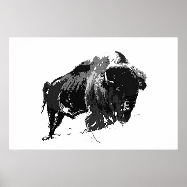 Black & White Bison Buffalo American Artwork Poster (Vorne)