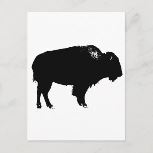 Black & White Bison Buffalo Silhouette Pop Postkarte