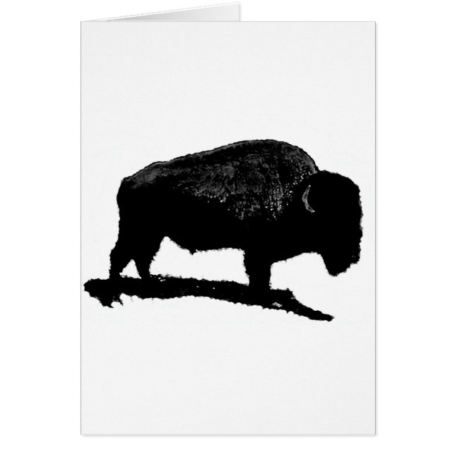Black & White Buffalo (Vorne)