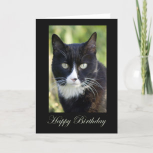 Black & White Cat, blank birthday card Karte