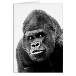 Black White Gorilla