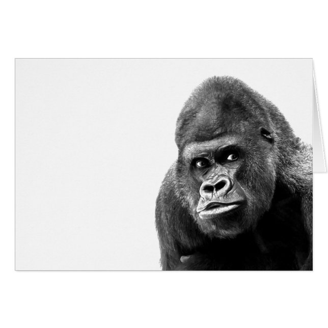 Black White Gorilla (Vorderseite (Horizontal))
