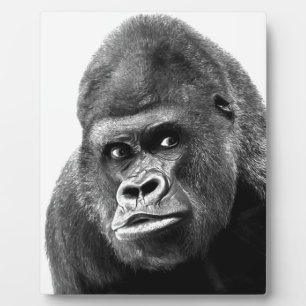 Black White Gorilla Fotoplatte