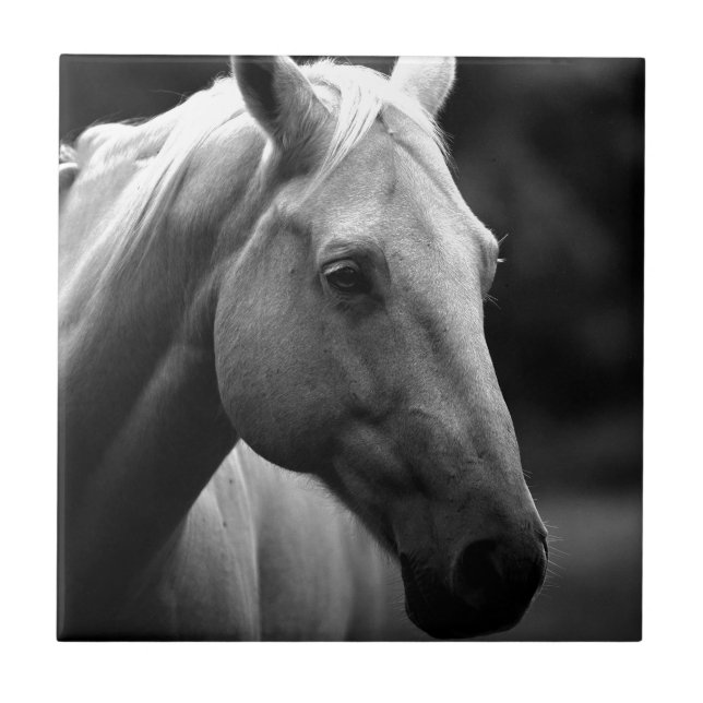 Black White Horse Fliese (Vorderseite)