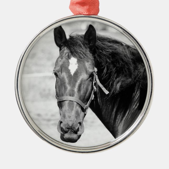 Black White Horse Ornament Aus Metall (Vorne)