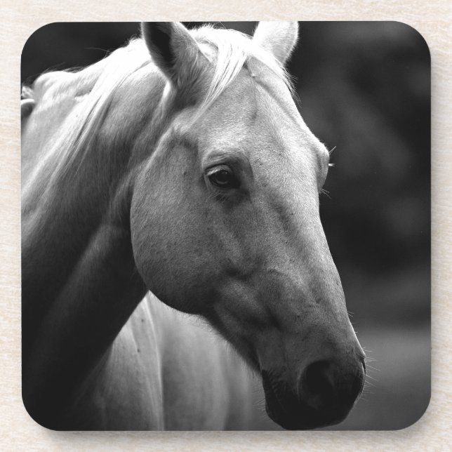 Black White Horse Untersetzer (Vorderseite)