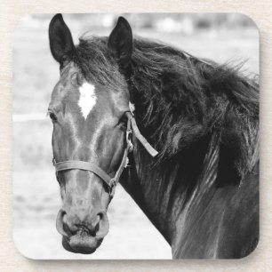 Black White Horse Untersetzer