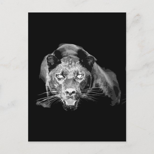 Black & White Jaguar - Wilde Katzen Postkarte (Vorderseite)