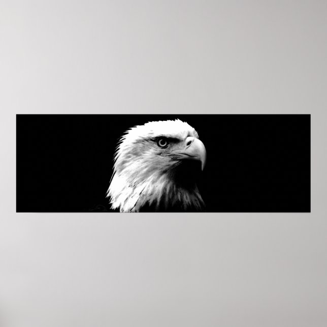Black & White Leadership Eagle Eyes Doster Poster (Vorne)